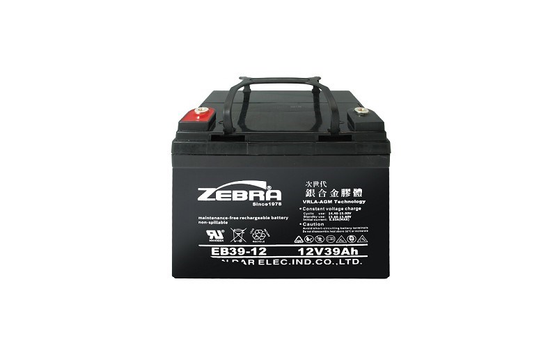 Zebra EB39-12