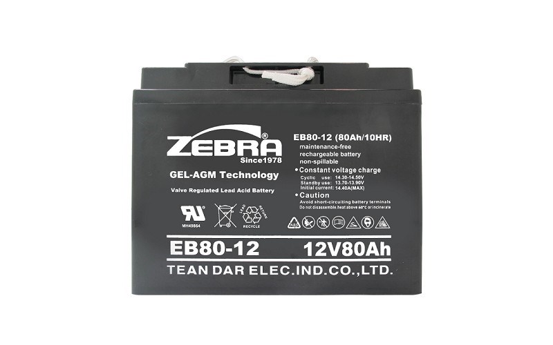 Zebra EB80-12
