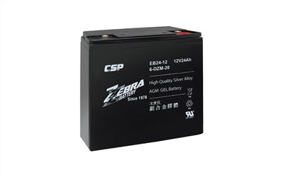 Zebra EB24-12