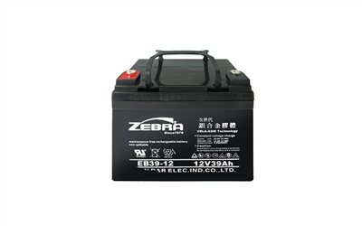 Zebra EB39-12